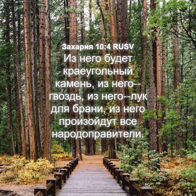 Picture 04 - Захария 10:4 RUSV - Из него будет краеугольный - Bible Verse Picture