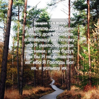 Picture 04 - Захария 10:6 RUSV - И укреплю дом Иудин, и - Bible Verse Picture
