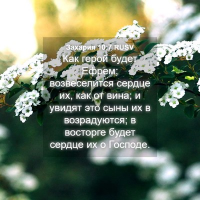 Picture 04 - Захария 10:7 RUSV - Как герой будет Ефрем; - Bible Verse Picture