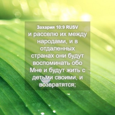 Picture 04 - Захария 10:9 RUSV - и расселю их между - Bible Verse Picture