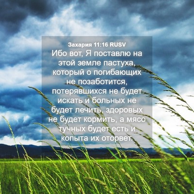Picture 04 - Захария 11:16 RUSV - Ибо вот, Я поставлю на этой - Bible Verse Picture