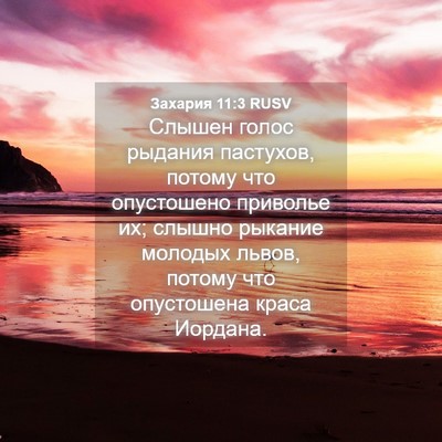 Picture 04 - Захария 11:3 RUSV - Слышен голос рыдания - Bible Verse Picture
