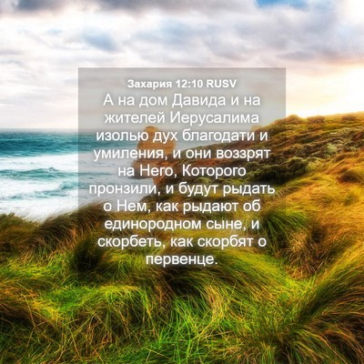 Picture 04 - Захария 12:10 RUSV - А на дом Давида и на - Bible Verse Picture