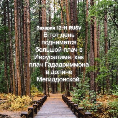 Picture 04 - Захария 12:11 RUSV - В тот день поднимется - Bible Verse Picture