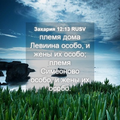 Picture 04 - Захария 12:13 RUSV - племя дома Левиина особо, и - Bible Verse Picture