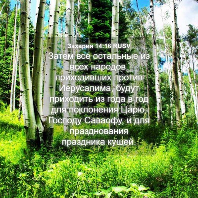 Picture 04 - Захария 14:16 RUSV - Затем все остальные из - Bible Verse Picture