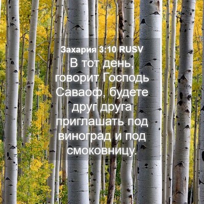 Picture 04 - Захария 3:10 RUSV - В тот день, говорит Господь - Bible Verse Picture