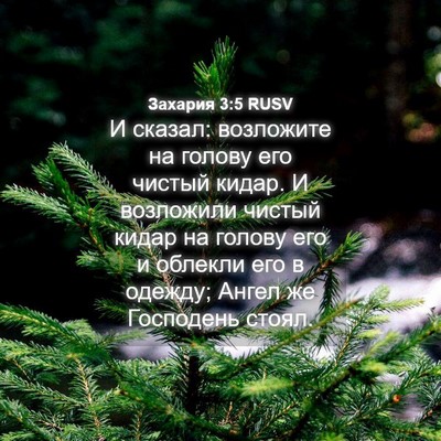 Picture 04 - Захария 3:5 RUSV - И сказал: возложите на - Bible Verse Picture
