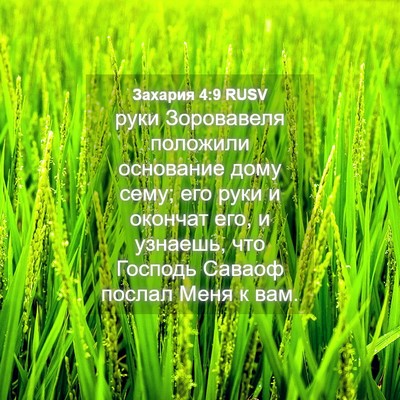 Picture 04 - Захария 4:9 RUSV - руки Зоровавеля положили - Bible Verse Picture