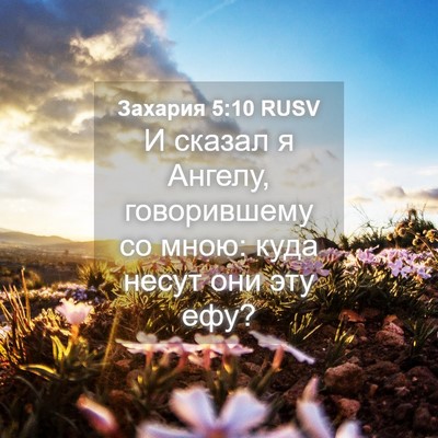 Picture 04 - Захария 5:10 RUSV - И сказал я Ангелу, - Bible Verse Picture