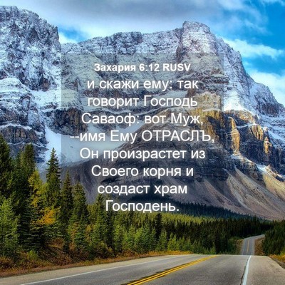 Picture 04 - Захария 6:12 RUSV - и скажи ему: так говорит - Bible Verse Picture