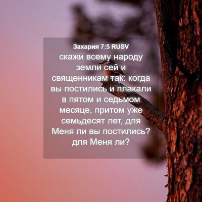 Picture 04 - Захария 7:5 RUSV - скажи всему народу земли - Bible Verse Picture