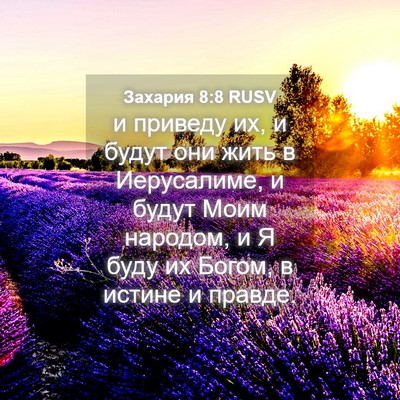Picture 04 - Захария 8:8 RUSV - и приведу их, и будут они - Bible Verse Picture