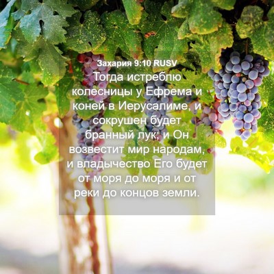 Picture 04 - Захария 9:10 RUSV - Тогда истреблю колесницы у - Bible Verse Picture