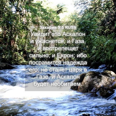 Picture 04 - Захария 9:5 RUSV - Увидит это Аскалон и - Bible Verse Picture