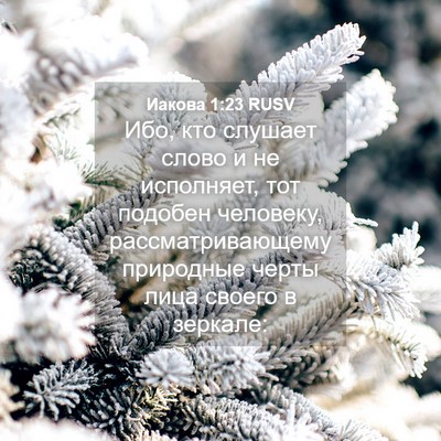 Picture 04 - Иакова 1:23 RUSV - Ибо, кто слушает слово и не - Bible Verse Picture