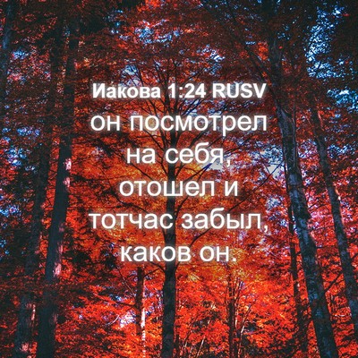 Picture 04 - Иакова 1:24 RUSV - он посмотрел на себя, - Bible Verse Picture