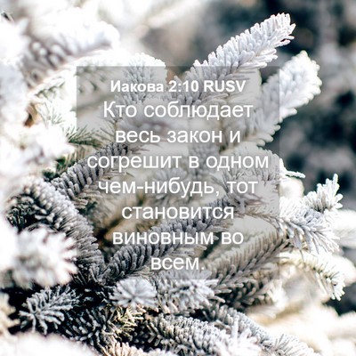 Picture 04 - Иакова 2:10 RUSV - Кто соблюдает весь закон и - Bible Verse Picture
