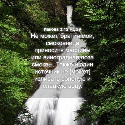 Picture 04 - Иакова 3:12 RUSV - Не может, братия мои, - Bible Verse Picture