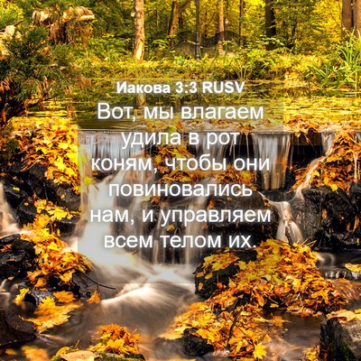 Picture 04 - Иакова 3:3 RUSV - Вот, мы влагаем удила в рот - Bible Verse Picture