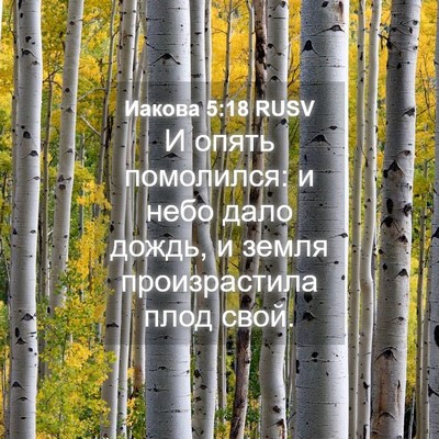 Picture 04 - Иакова 5:18 RUSV - И опять помолился: и небо - Bible Verse Picture