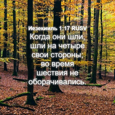 Picture 04 - Иезекииль 1:17 RUSV - Когда они шли, шли на - Bible Verse Picture
