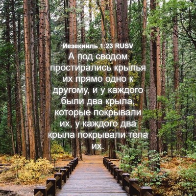Picture 04 - Иезекииль 1:23 RUSV - А под сводом простирались - Bible Verse Picture