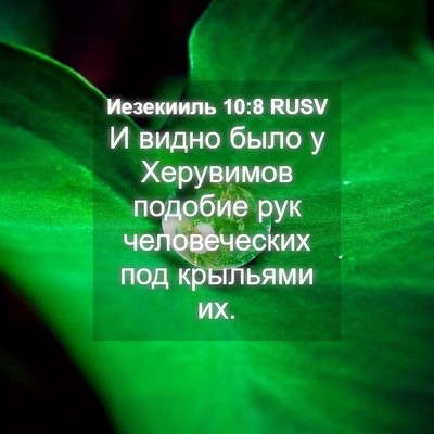 Picture 04 - Иезекииль 10:8 RUSV - И видно было у Херувимов - Bible Verse Picture