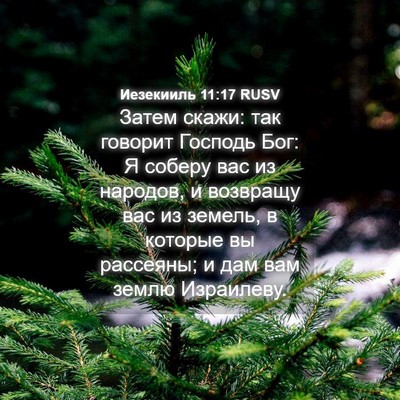 Picture 04 - Иезекииль 11:17 RUSV - Затем скажи: так говорит - Bible Verse Picture