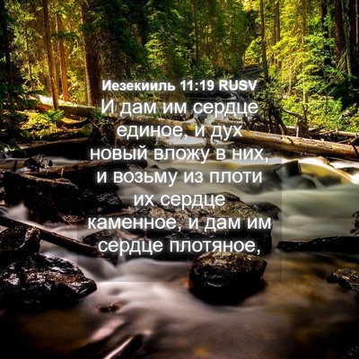 Picture 04 - Иезекииль 11:19 RUSV - И дам им сердце единое, и - Bible Verse Picture