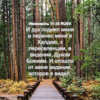 Picture 04 - Иезекииль 11:24 RUSV - И дух поднял меня и перенес - Bible Verse Picture