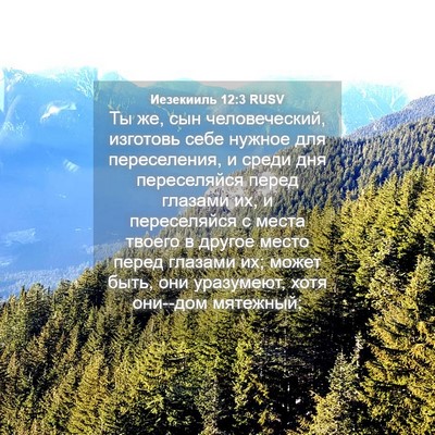 Picture 04 - Иезекииль 12:3 RUSV - Ты же, сын человеческий, - Bible Verse Picture