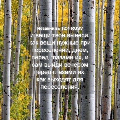 Picture 04 - Иезекииль 12:4 RUSV - и вещи твои вынеси, как - Bible Verse Picture