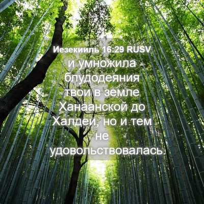 Picture 04 - Иезекииль 16:29 RUSV - и умножила блудодеяния - Bible Verse Picture