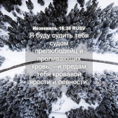 Picture 04 - Иезекииль 16:38 RUSV - Я буду судить тебя судом - Bible Verse Picture