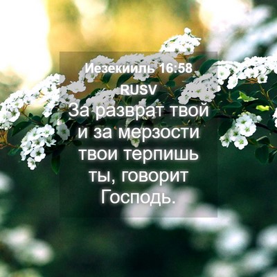 Picture 04 - Иезекииль 16:58 RUSV - За разврат твой и за - Bible Verse Picture