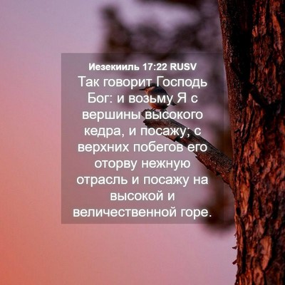 Picture 04 - Иезекииль 17:22 RUSV - Так говорит Господь Бог: и - Bible Verse Picture