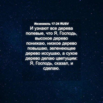 Picture 04 - Иезекииль 17:24 RUSV - И узнают все дерева - Bible Verse Picture