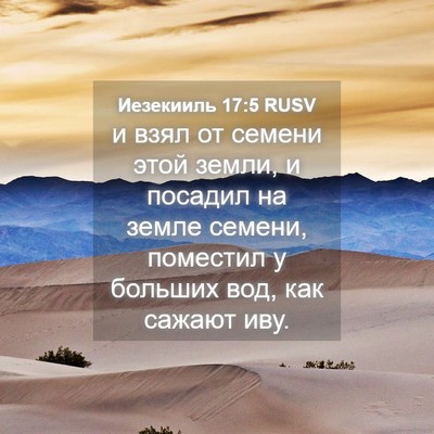 Picture 04 - Иезекииль 17:5 RUSV - и взял от семени этой - Bible Verse Picture