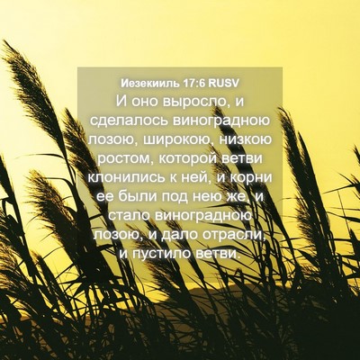Picture 04 - Иезекииль 17:6 RUSV - И оно выросло, и сделалось - Bible Verse Picture