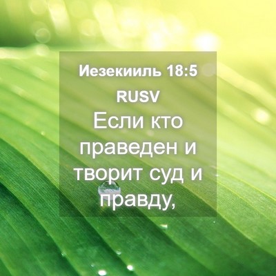 Picture 04 - Иезекииль 18:5 RUSV - Если кто праведен и творит - Bible Verse Picture