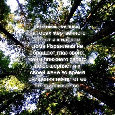 Picture 04 - Иезекииль 18:6 RUSV - на горах жертвенного не - Bible Verse Picture