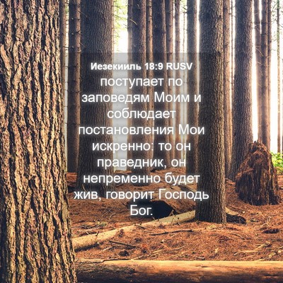 Picture 04 - Иезекииль 18:9 RUSV - поступает по заповедям - Bible Verse Picture