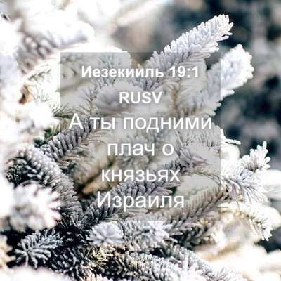 Picture 04 - Иезекииль 19:1 RUSV - А ты подними плач о князьях - Bible Verse Picture