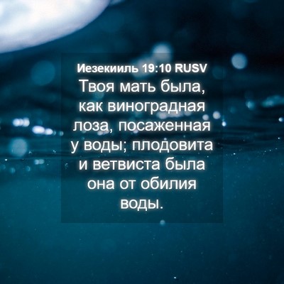 Picture 04 - Иезекииль 19:10 RUSV - Твоя мать была, как - Bible Verse Picture