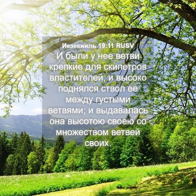 Picture 04 - Иезекииль 19:11 RUSV - И были у нее ветви крепкие - Bible Verse Picture