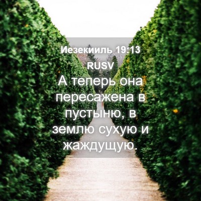 Picture 04 - Иезекииль 19:13 RUSV - А теперь она пересажена в - Bible Verse Picture