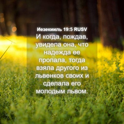 Picture 04 - Иезекииль 19:5 RUSV - И когда, пождав, увидела - Bible Verse Picture