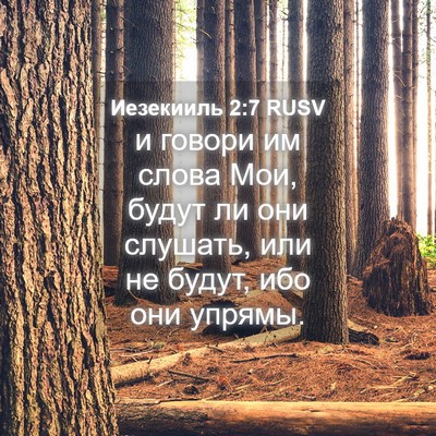 Picture 04 - Иезекииль 2:7 RUSV - и говори им слова Мои, - Bible Verse Picture