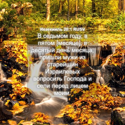 Picture 04 - Иезекииль 20:1 RUSV - В седьмом году, в пятом - Bible Verse Picture